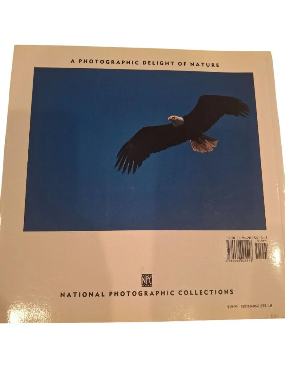 Secrets Yellowstone Grand Teton National Parks Tufts 2002 Wildlife Photo Book